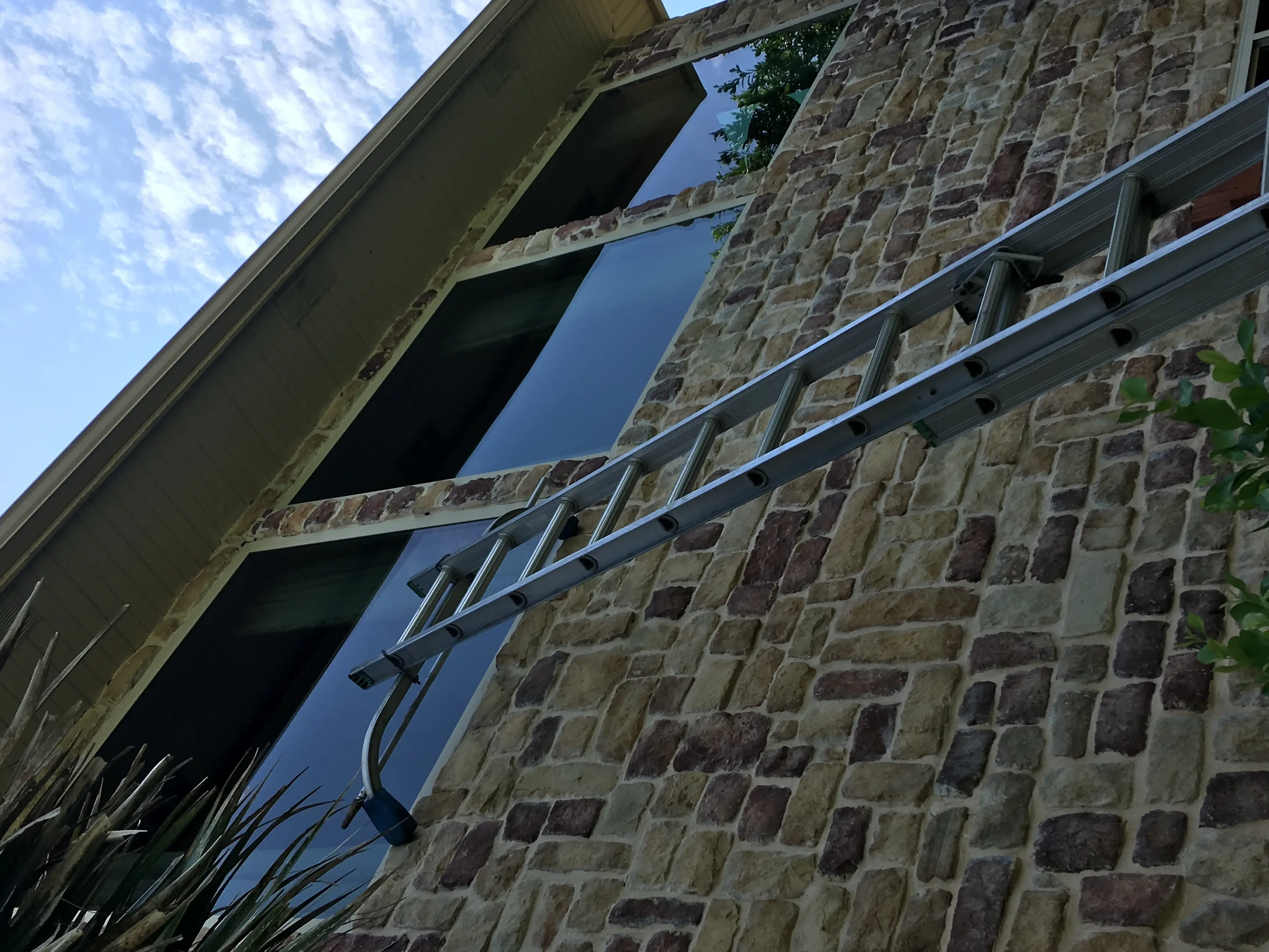 Exterior window cleaning with ladder